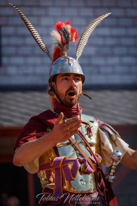 Senatorischer Tribun